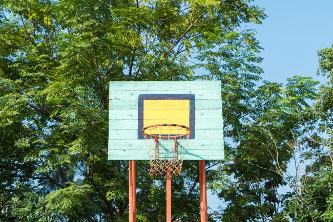 Best Basketball Hoop Review - tree