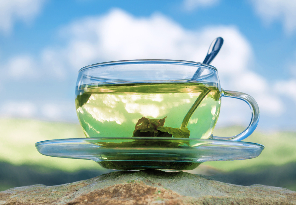 green tea in cup - beautiful image