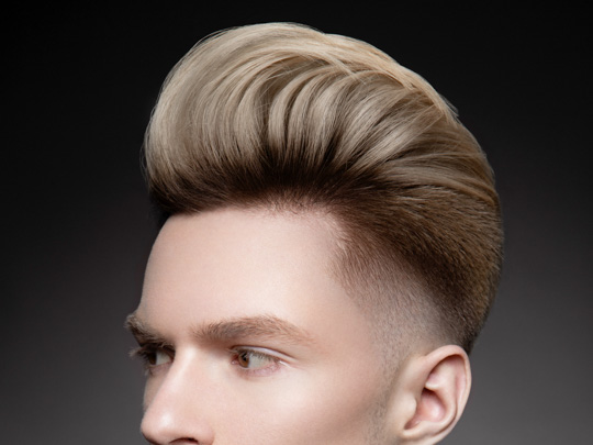 Long Pompadour