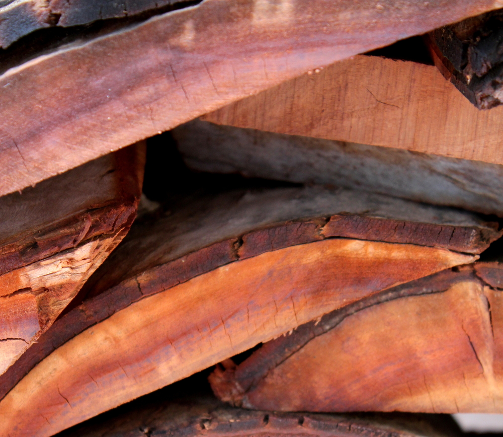 mesquite wood texture