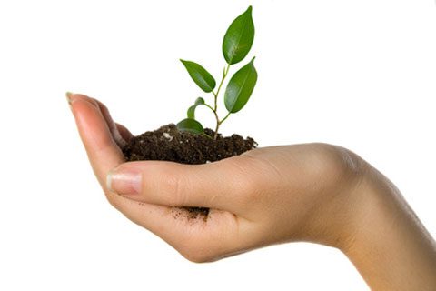 The Journey In To Owning A Business; Starting A Small Enterprise