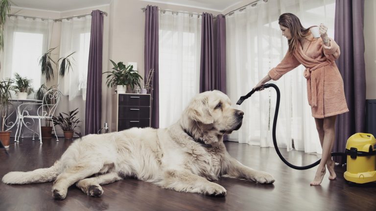 vacuum for pet hair