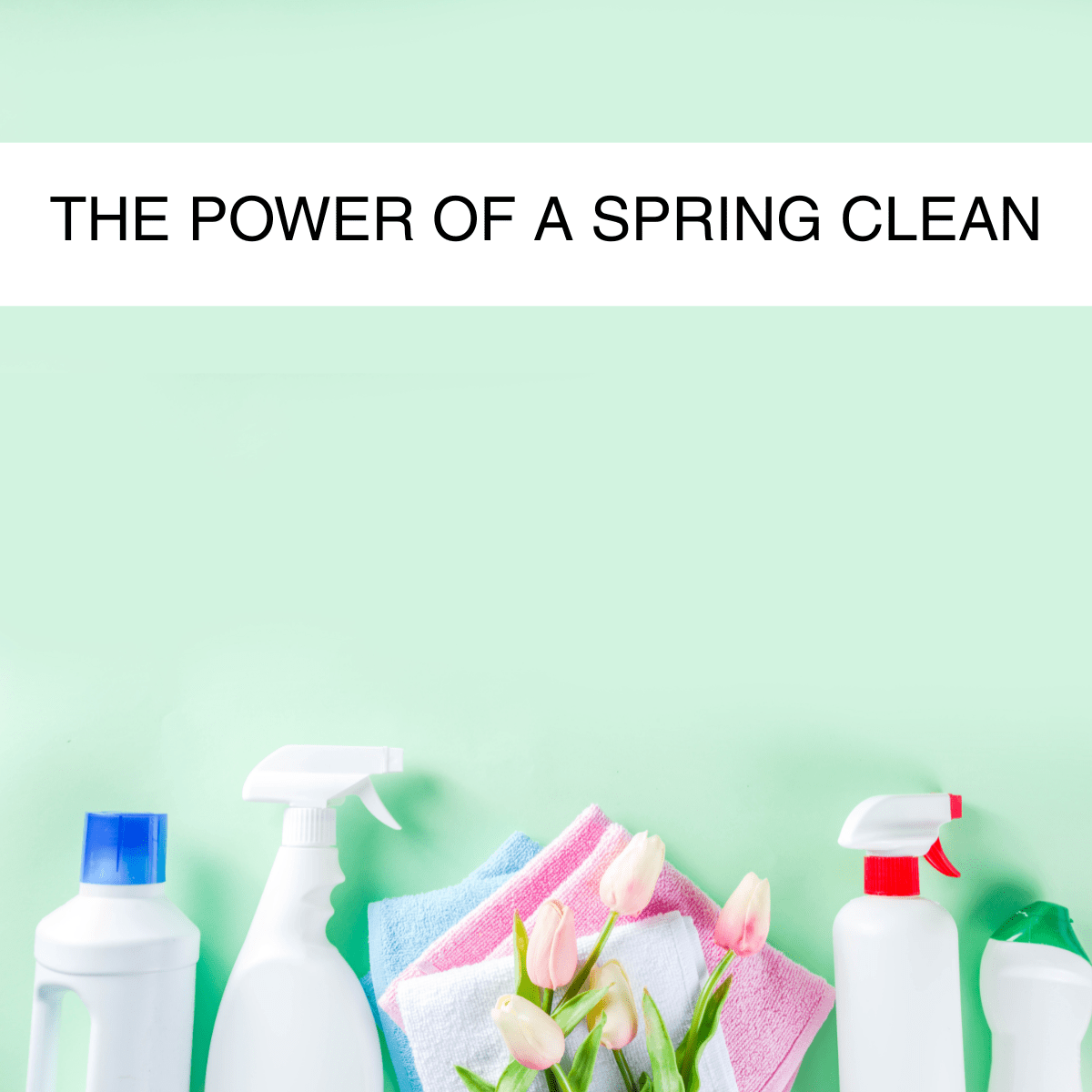 Bottles of cleaning products